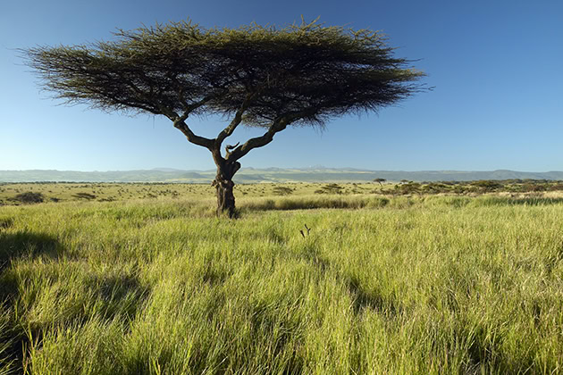 Enarau Conservancy