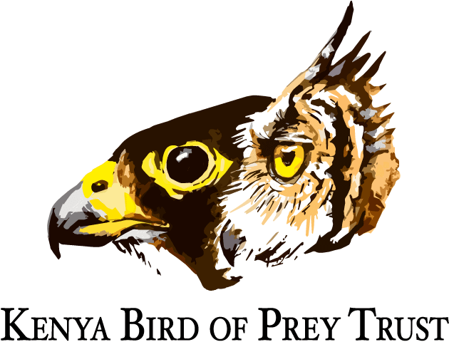 Kenya Bird of Prey Trust