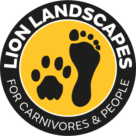 Lion Landscapes