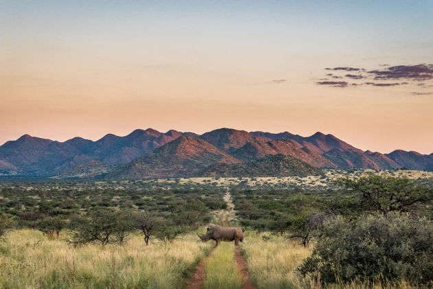 The Tswalu Foundation