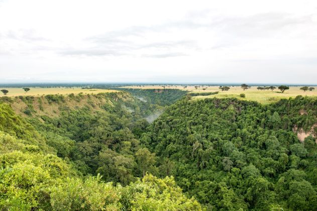 Volcanoes Safaris Partnership Trust