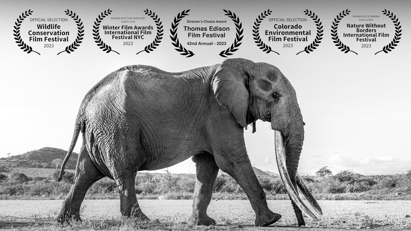 Emergence – Saving Africa's Super Tuskers