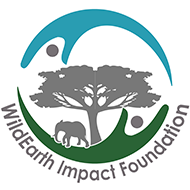 WildEarth Impact Foundation