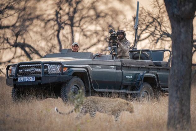 WildEarth Impact Foundation