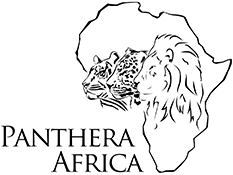 Panthera Africa