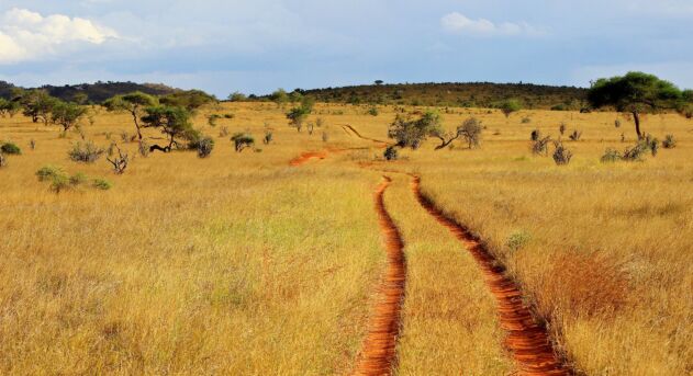 Balule Community and Anti-Poaching Trust