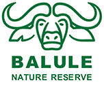 Balule Community and Anti-Poaching Trust