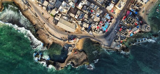 Pan-African Biennale
